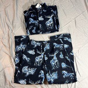 Pottery Barn Teen Harry Potter Patronus Glow in Dark Flannel Pajama Boys Medium
